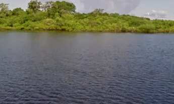 Imagem: Terreno no Acajatuba, município de Iranduba