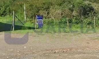 Imagem 3: Terrenos a venda - Loteamento Rural Palermo