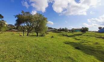 Imagem 7: CAXIAS DO SUL - Terreno Padrão - ANA RECH