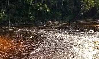 Imagem: Terreno em condomínio fechado em Presidente