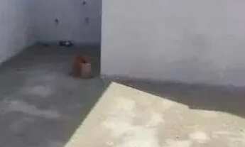 Imagem 6: Cobertura com 2 dormitórios à venda, 88 m² por R$ 500.000,00 - Vila Humaitá - Santo André