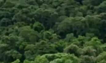 Imagem: Terrenos promocionais em condominio de chacaras