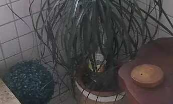 Imagem 5: Apartamento com 2 dormitórios à venda, 65 m² por R$ 420.000 - Aviação - Praia Grande/SP