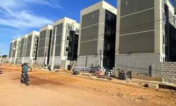 Imagem 2: 070 // AP NO MAIOBAO NA PLANTA