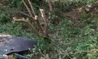 Imagem 4: AREA - ANÁLIA FRANCO - SP