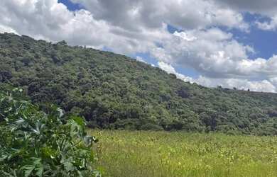 Imagem: Lotes em Ibiúna/SP de 1000m² no Bairro