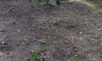 Imagem 3: Vende-se um sítio na região urubuzinho!