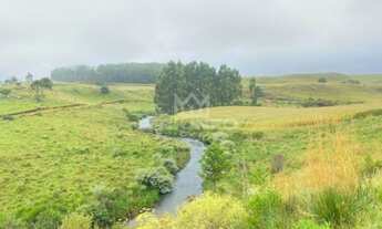 Imagem 2: Sítio em São Francisco de Paula.!! st444
