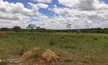 Imagem 6: 373 Alqueires em Divinópolis-Go