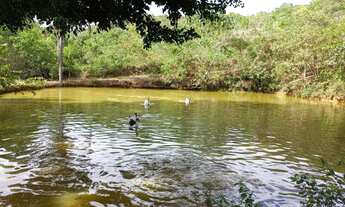 Imagem: Excelente Chácara com 4 Hectares, Tanques
