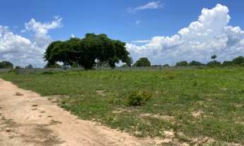 Imagem 3: Lote chácara em santo Estêvão