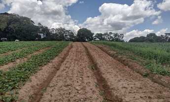 Imagem 5: Terreno para chácara