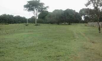 Imagem 6: Fazenda em Dois Irmãos. 47 mil por alqueire