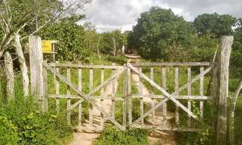 Imagem: Chácara com Área de 41.000m²