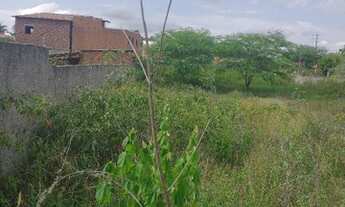 Imagem 2: Terreno em Gravatá,apenas 500 metros da BR 232, está aqui 036