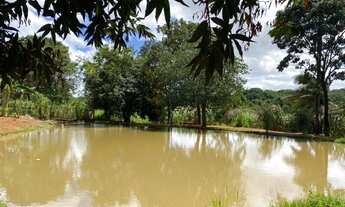 Imagem 3: Fazenda 17 ha, riacho nos fundos, lagoa de peixes água por gravidade no quintal, Serra do