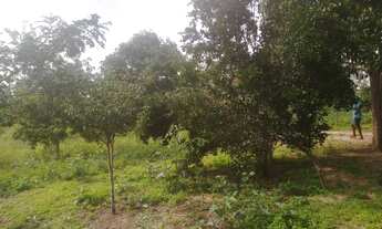 Imagem 4: Chácara com Área de 41.000m²