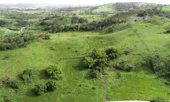 Imagem 7: Fazenda com 20 Hectares em Chã Grande-PE
