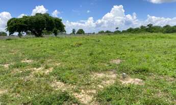 Imagem 5: Lote chácara em santo Estêvão