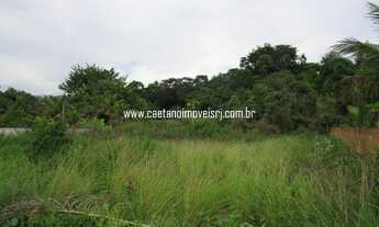 Imagem 5: Terreno plano e murado (Ideal para sítios