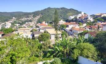 Imagem: Colmeia Urbana Carvoeira