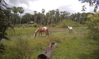 Imagem 7: Vende-se terreno na margens do Rio Poty