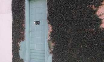 Imagem 2: Kitnet Mobiliada pertinho Shopping Livre água luz Wi-fi