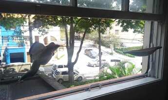 Imagem 2: Venha conferir esse ótimo imóvel em Perdizes