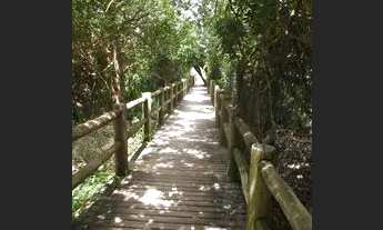 Imagem 4: Apartamentos 2 e 3 dormitórios na praia do Santinho a 200m da praia