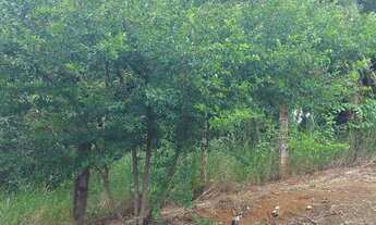 Imagem 4: Vendo ou troco lote