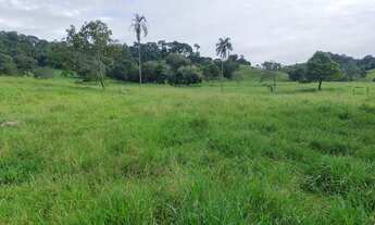 Imagem: Terra de 20 alqueires município de Santa