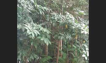 Imagem 7: Apartamento com 167m², Suíte Master com Closet, 3 vagas, 1 depósito - Brooklin SP