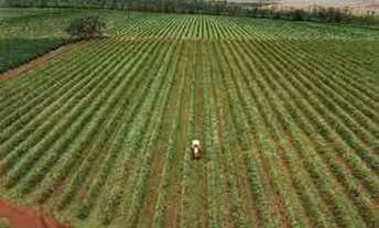 Imagem 6: Imóvel rural R$ 200.000,00 a R$ 1.000.000,00