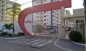 Imagem 2: Bougainville- Jabotiana