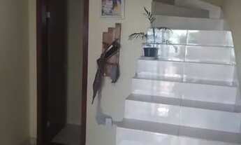 Imagem 6: Duplex no esplanada 2