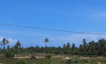 Imagem 5: ! Vista Marina Apartamento com 3 dormitórios