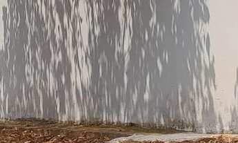 Imagem 3: Chacarinha de mil com casinha