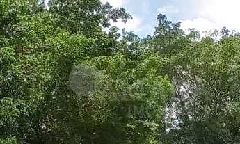 Imagem 6: Apartamento com 3 dormitórios para alugar, 68 m² por R$ 3.829,98/mês - Vila Santana - São