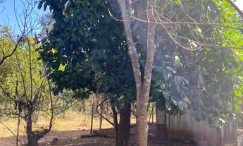 Imagem 6: Chácara 1.600 m² a 15 km de Montes Claros (saída Bocaiuva