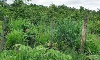 Imagem 2: FAZENDA (324 Hectares), EM VARGEM GRANDE MT