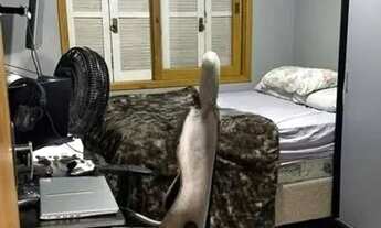 Imagem 9: CASA 2 DORMITÓRIOS - CAMPOS DE NOVA IPANEMA - FINANCIÁVEL