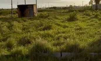 Imagem 2: TERRENOS A VENDA trevo de búzios