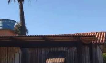 Imagem 4: Sítio em Águas Claras