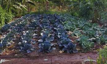 Imagem 7: Condomínio Florestal Florata - Cond. Florestal Florata: primeira ou segunda residência? Ou