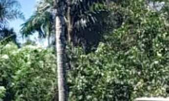 Imagem: Chácara à venda, 3269 m² por R$ 200.000,00