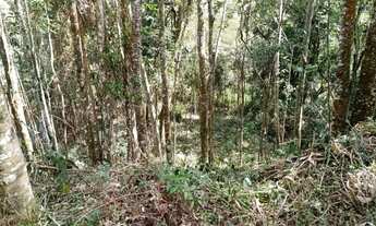 Imagem 1: Lote em Caminho Rodrigues - Pedra Vermelha (Terra Preta) - Mairiporã/SP