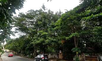 Imagem 3: Chácara - Setor Progresso - Goiânia/GO