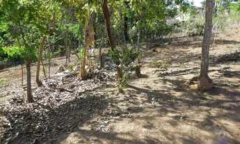 Imagem 5: Venda Lote-Área-Terreno Vista Alegre Mateus Leme