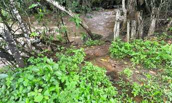 Imagem 6: Vendo uma chácara de 4 alqueire na beira do rio caldas em bonfinopolis