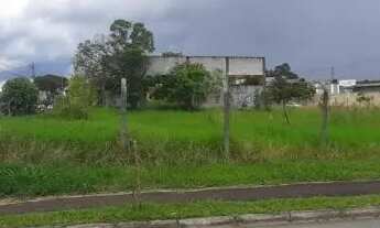 Imagem 6: ÁREA COSTEIRA / OURO FINO